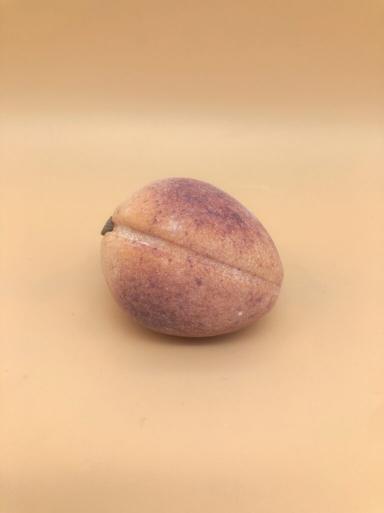Aprikose