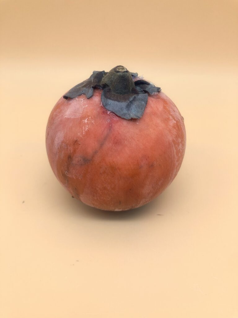 Kaki