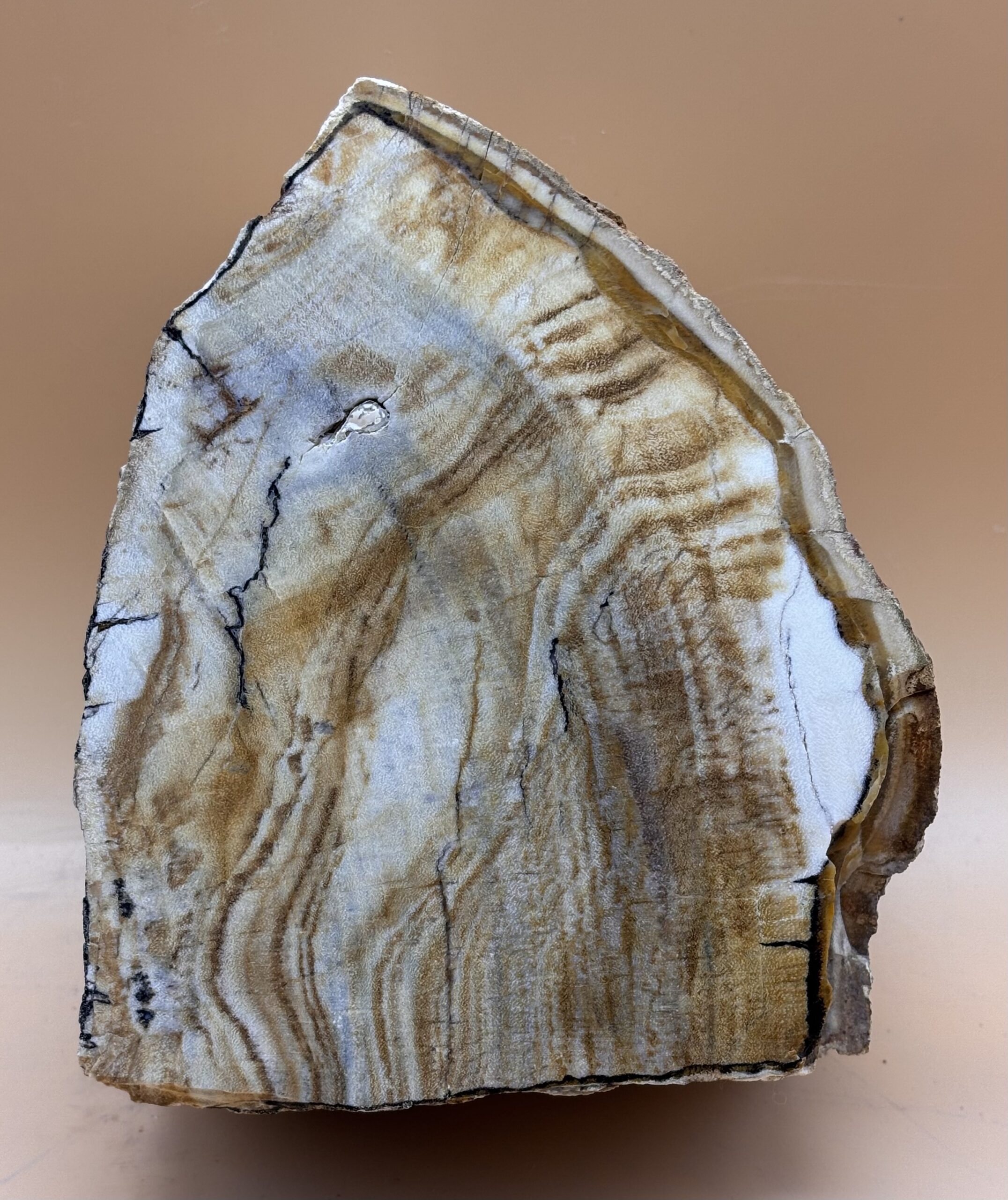 Opalholz