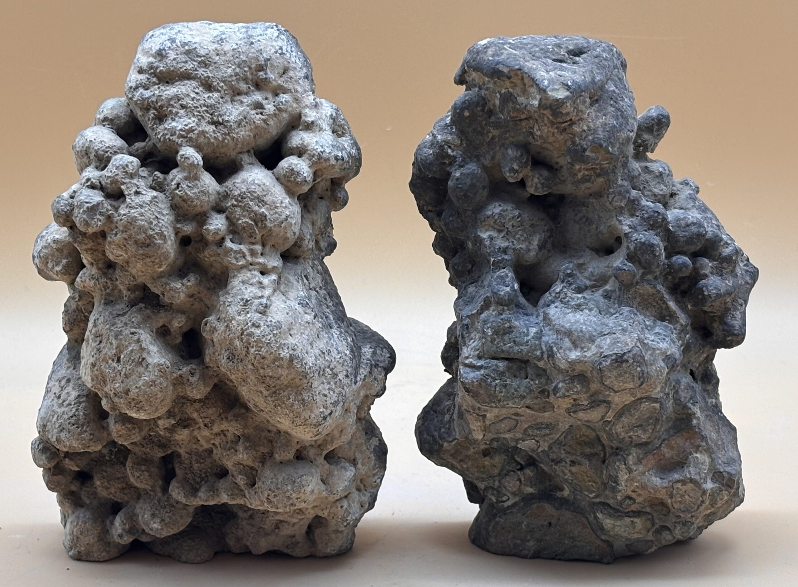 Onkolith – Bild 2