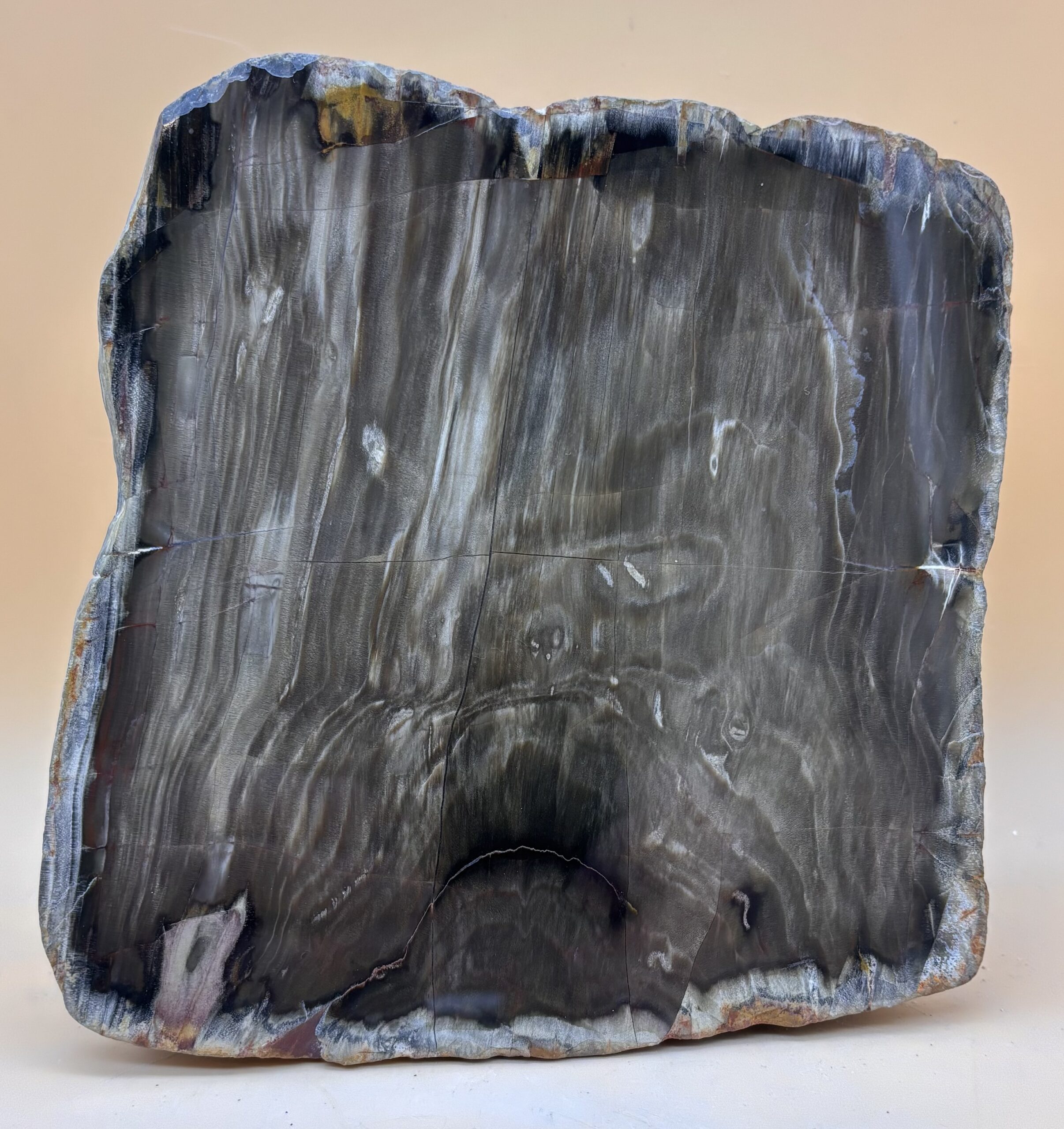 verkieseltes Holz