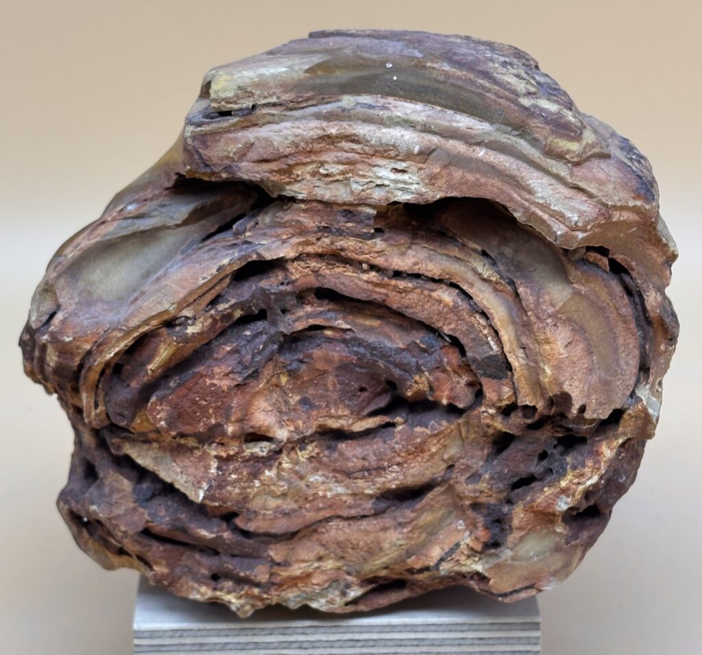 Feuersteinknolle
