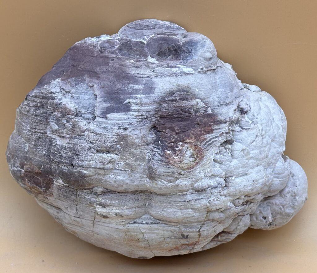 Rhyolith Knolle