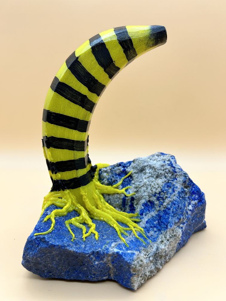 Tigerbanane
