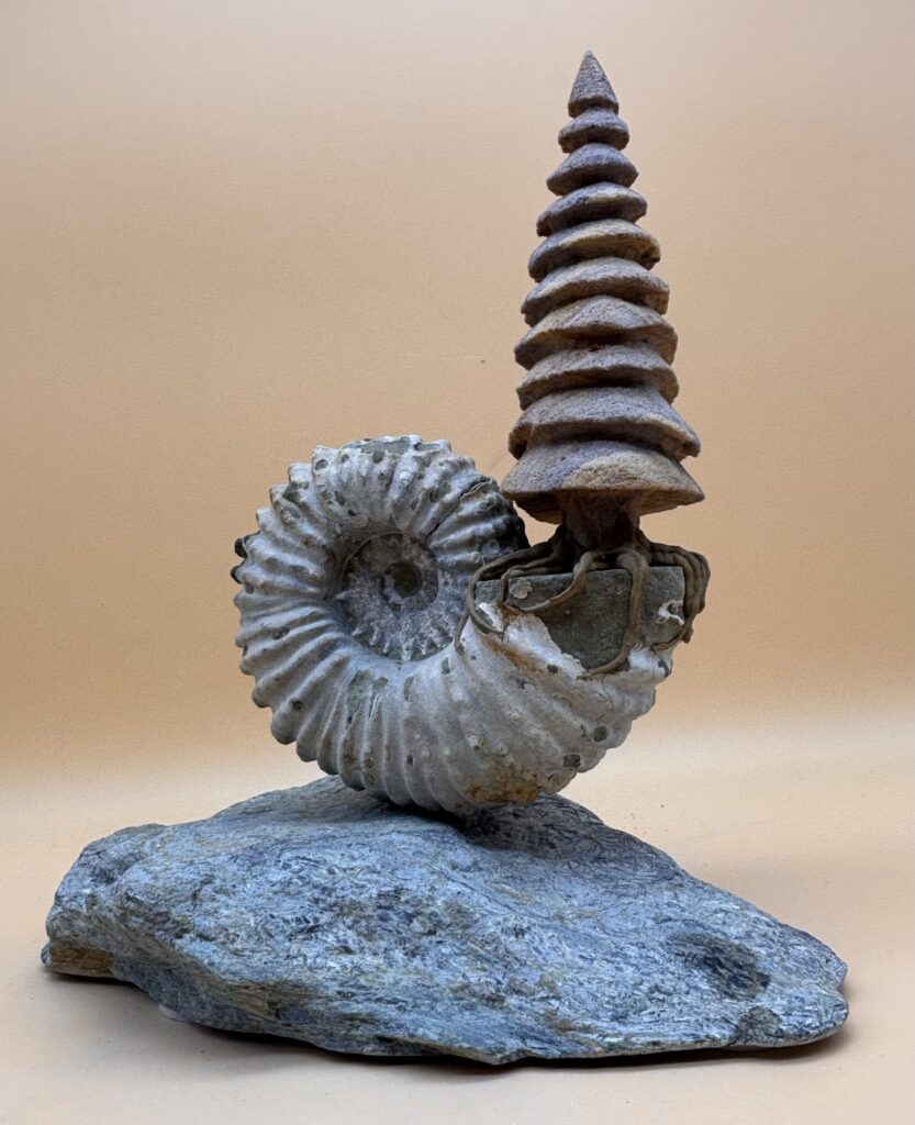 "Spiralis vitae"