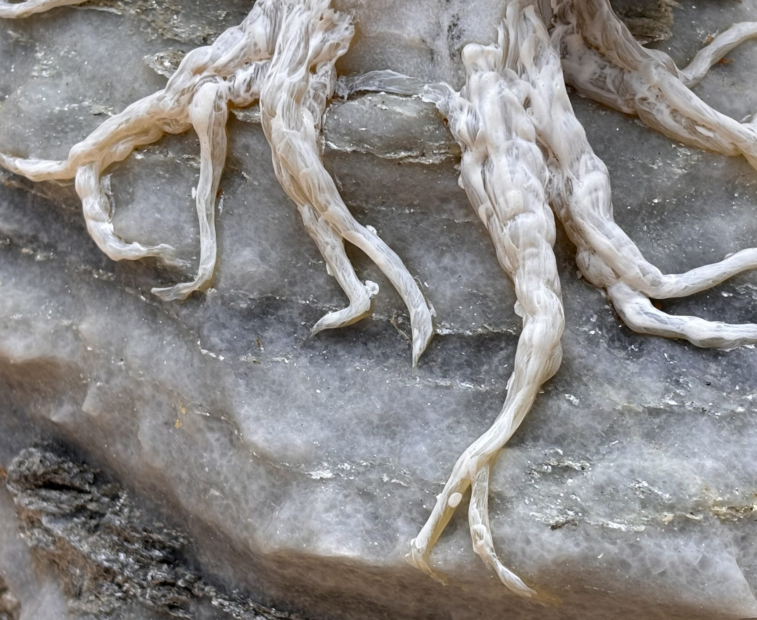 "Refugium I" – Bild 4