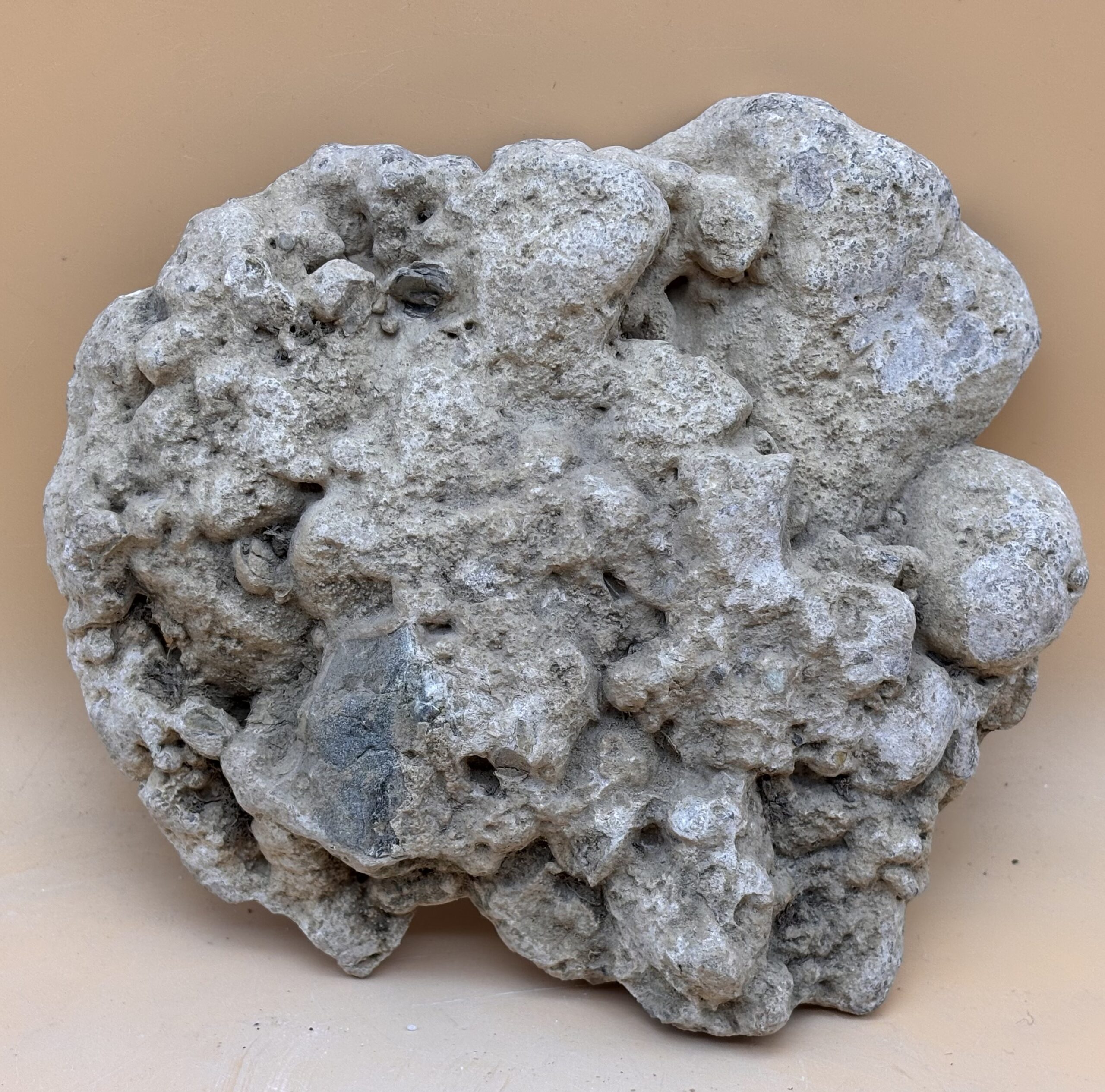 Onkolith – Bild 4