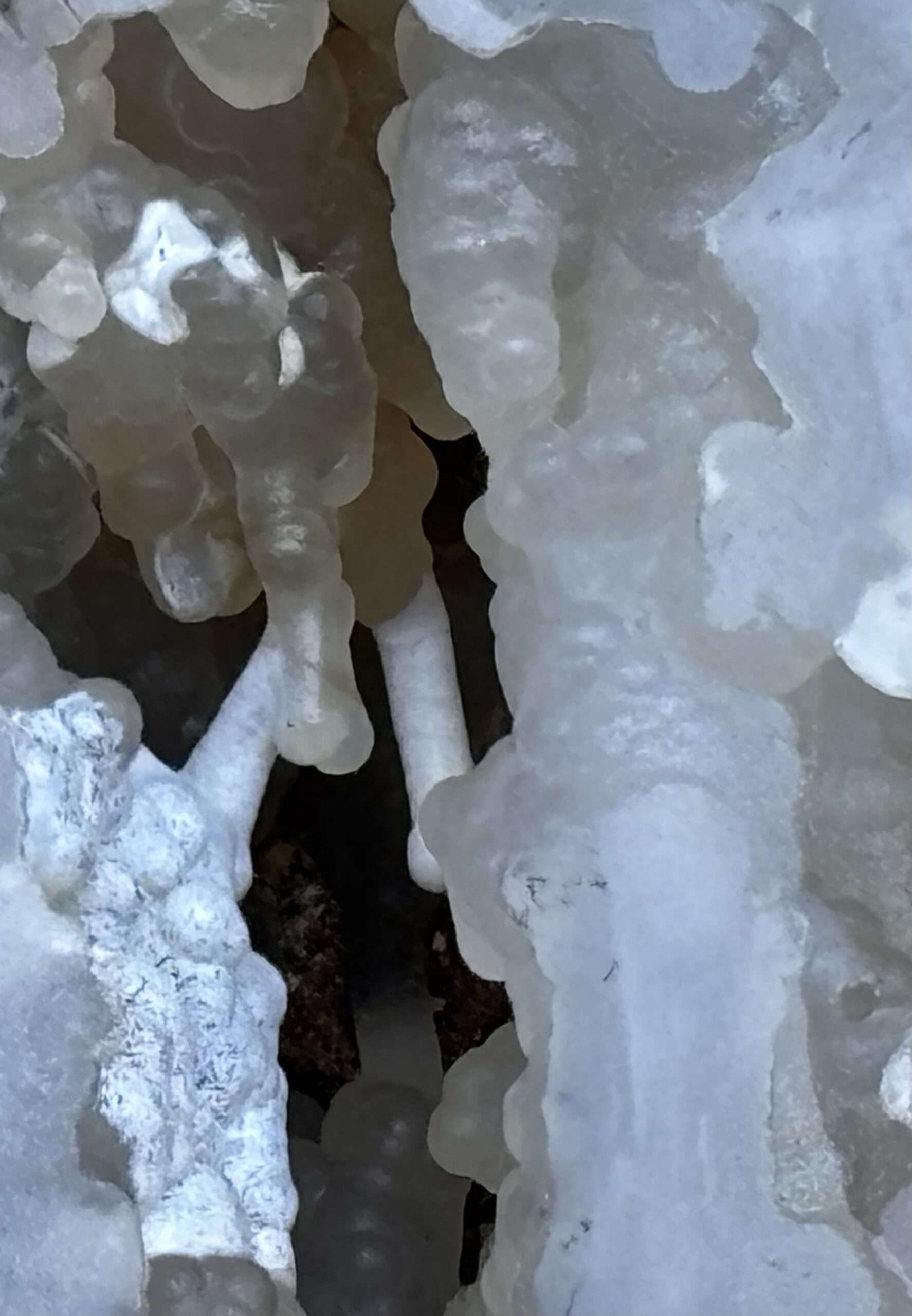 Chalcedon – Bild 4
