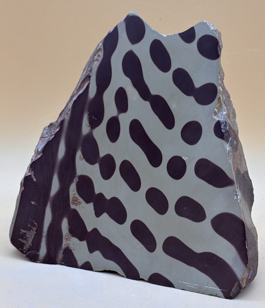 Zebra Rock Australien
