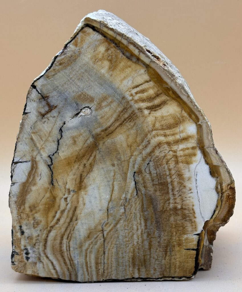 Opal Holz