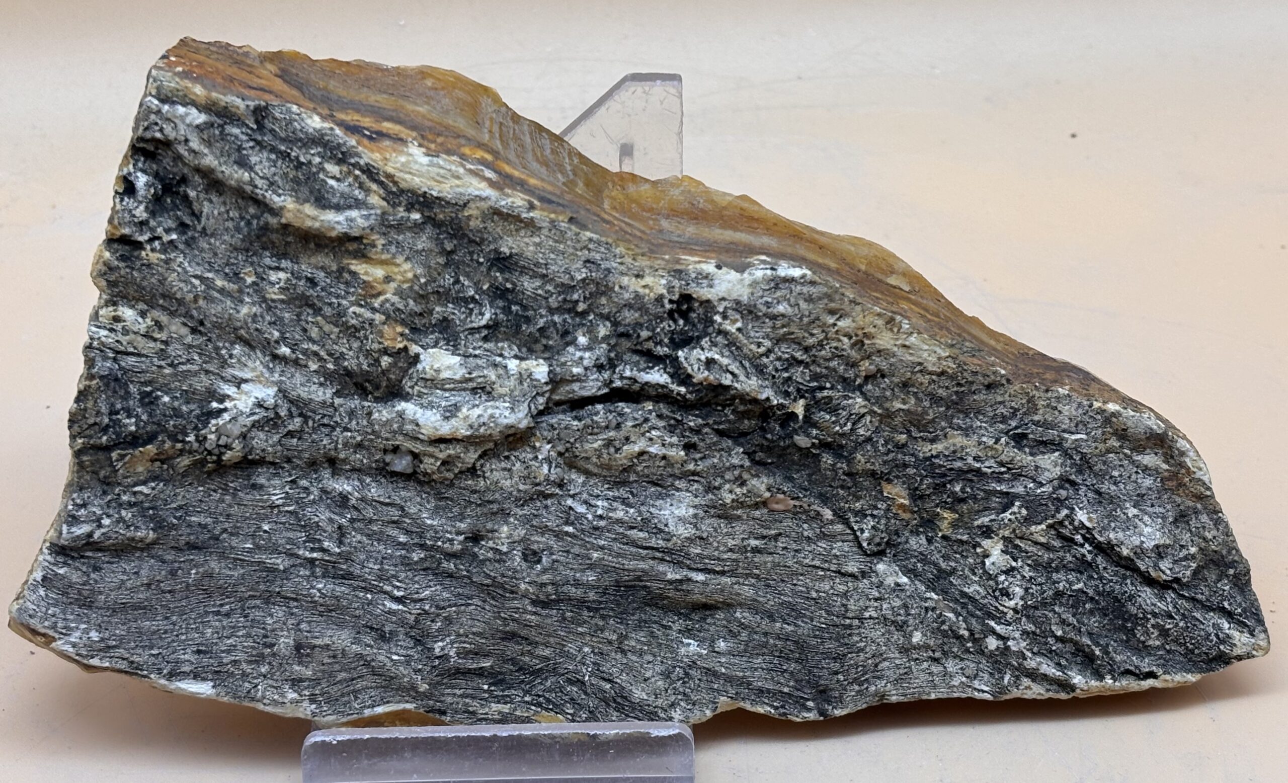 Opalholz – Bild 2