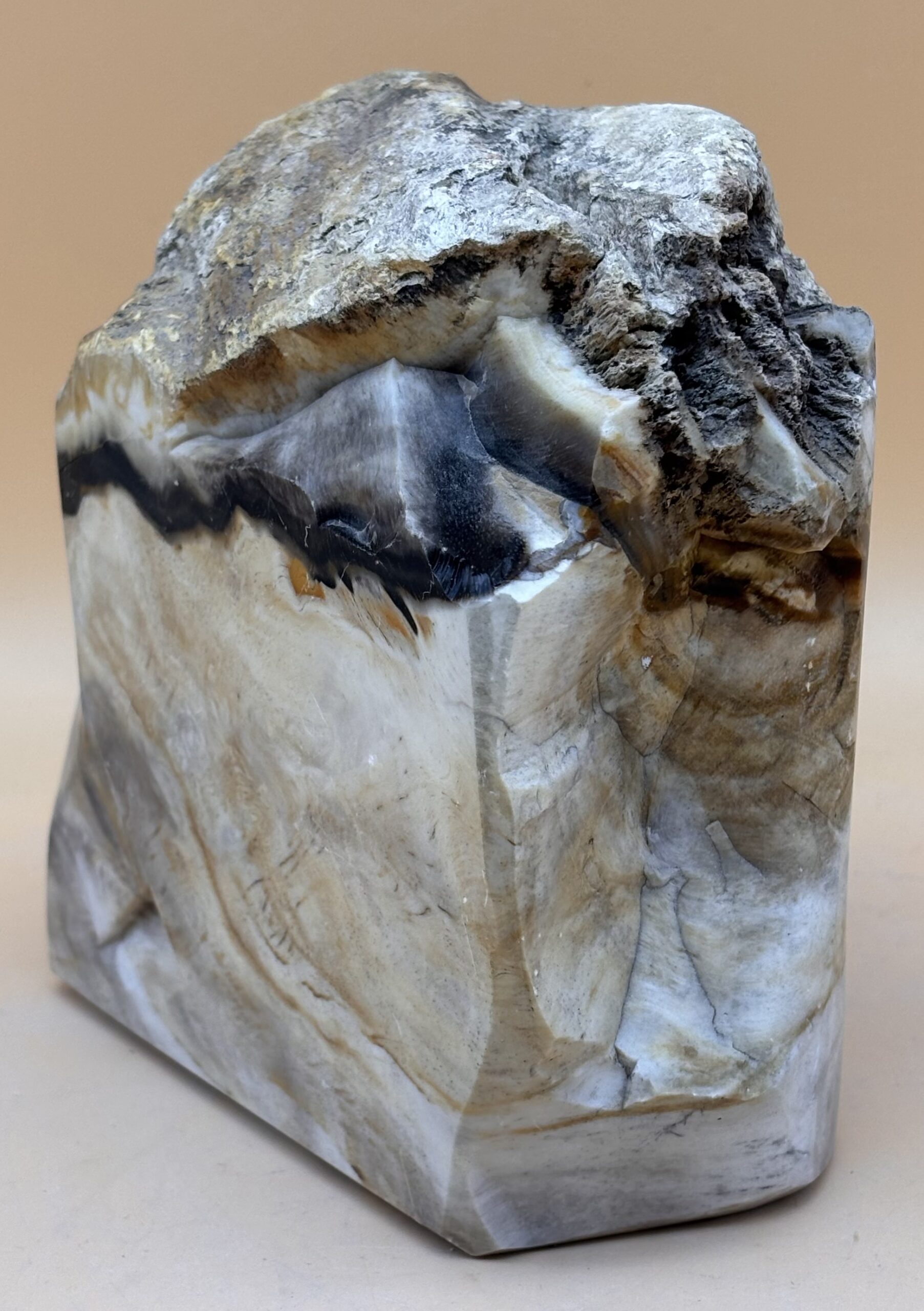 Opalholz – Bild 2