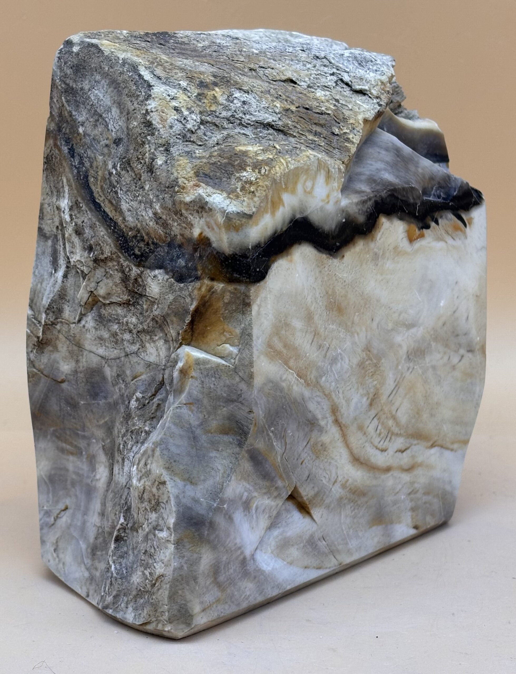 Opalholz – Bild 3